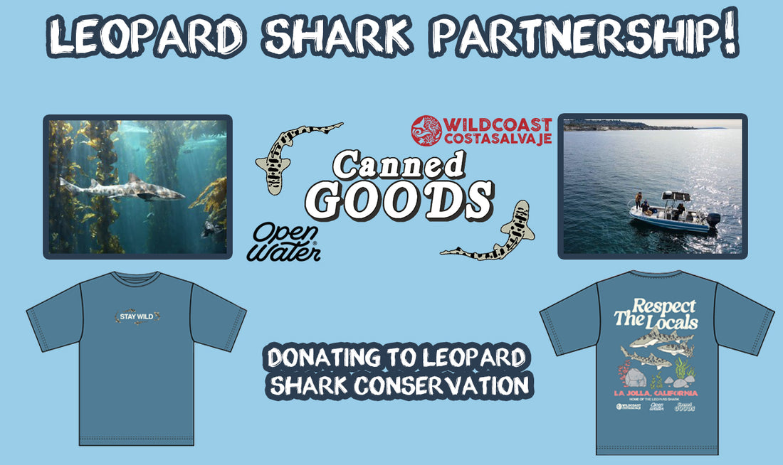 Leopard Shark Conservation with WILDCOAST