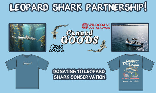 Leopard Shark Conservation with WILDCOAST